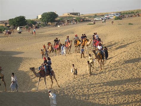Camel safaris is most exciting. Pushkar Camel Safari Tour, Pushkar - Entry Fee, Visit ...