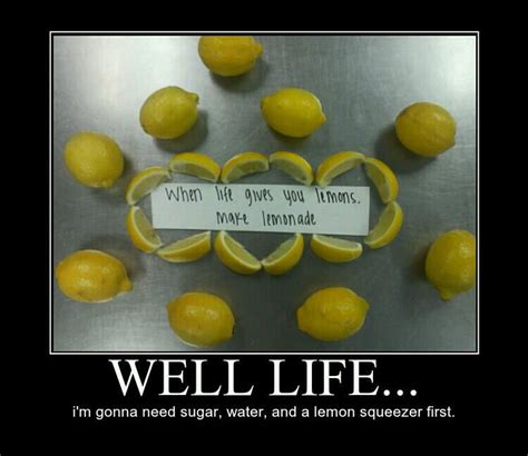 When Life Gives You Lemons Lemons Better Life Lemonade