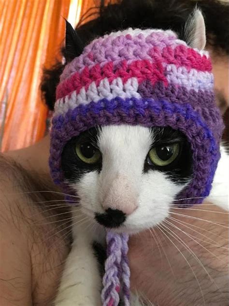 Open The Gates For Knitted Cat Hats For Cats By Using These Simple Tips