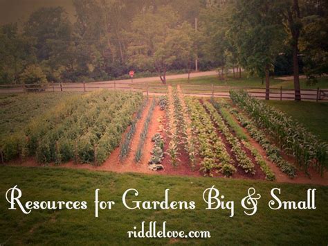 Corn requires more space than most small or medium sized containers provide. Gardening Resources for Large to Small Plots | Garden ...