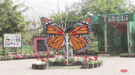 Thousand Shades Butterfly Park Sec 52 A Gurgaon Butterfly Park