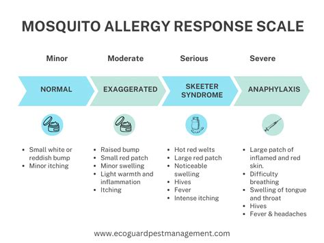 Skeeter Syndrome Mosquito Bite Allergy Reactions