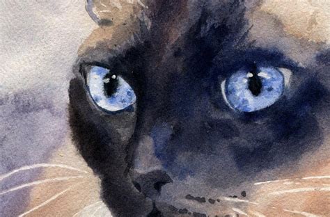Print Applehead Siamese Cat Art Print Of A Watercolor