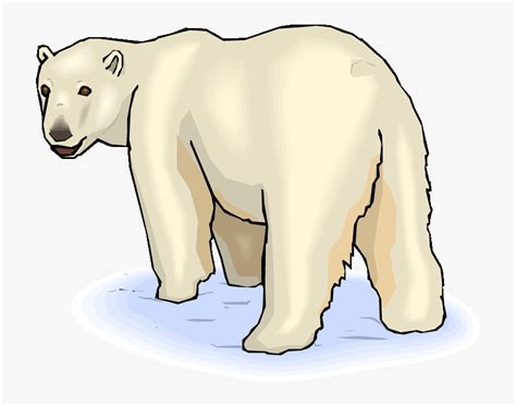 Baby Cute Polar Bear Clipart Cartoon Polar Bear Drawing Free Image