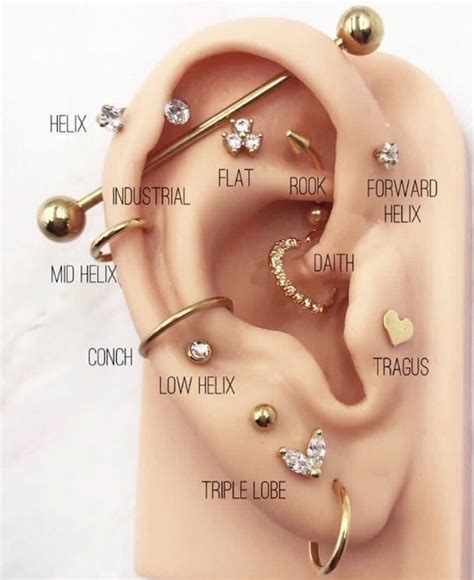 Different Types Of Ear Piercings For Girls Porn Videos Newest Xxx