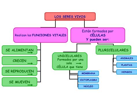 Todos Los Seres Vivos Estan Formados Por Celulas Compartir Celular