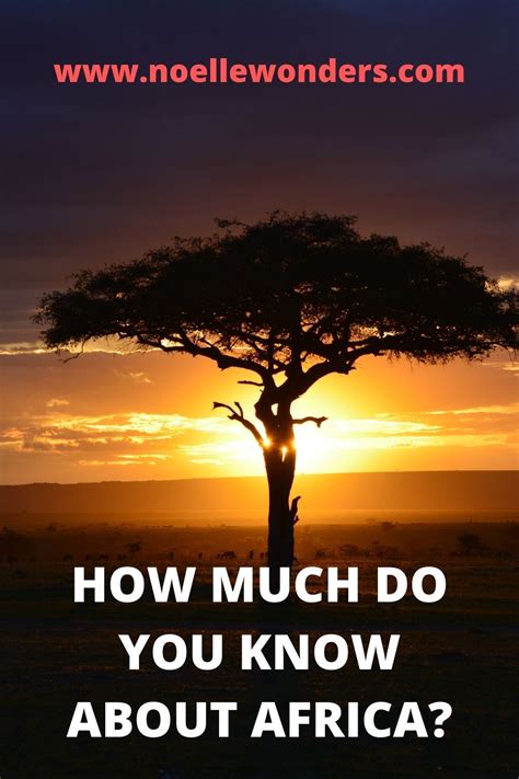 How Much Do You Know About Africa Noelle Wonders Africa Quiz