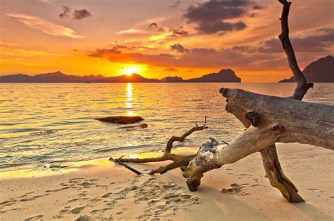 These are the steps on how to compute for holiday pay: National Holidays in Philippines in 2021 | Office Holidays