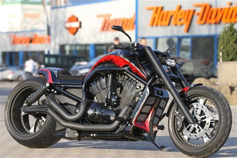 Thunderbike Customized Harley Davidson Night Rod Special Vrscdx