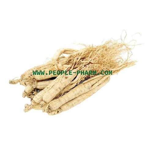 dry white panax ginseng roots