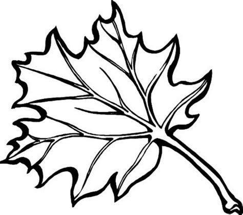Get This fall leaves coloring pages for kindergarten ya630