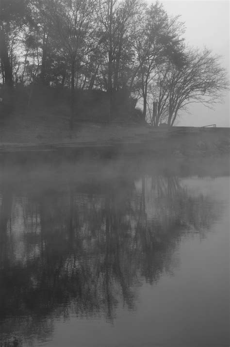 Crisp Foggy Winter Morning On The Suwannee River Winter Mornings