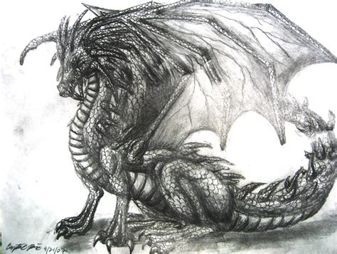 Dragon Drawing By Dragontu84 On Deviantart
