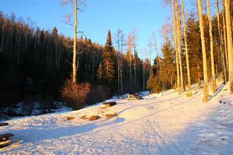 Maybe you would like to learn more about one of these? New Mexico Camping: Big Tesuque Campground