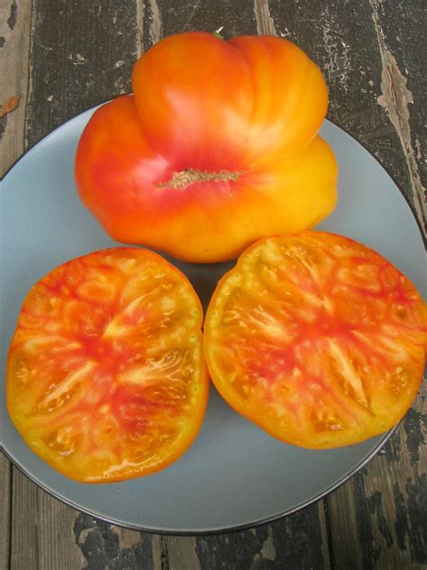 Box 670 lopez, wa 98261 usa usa. Tomate Antiguo N°27- Herencia: Gold Medal Semilla Orgánica ...