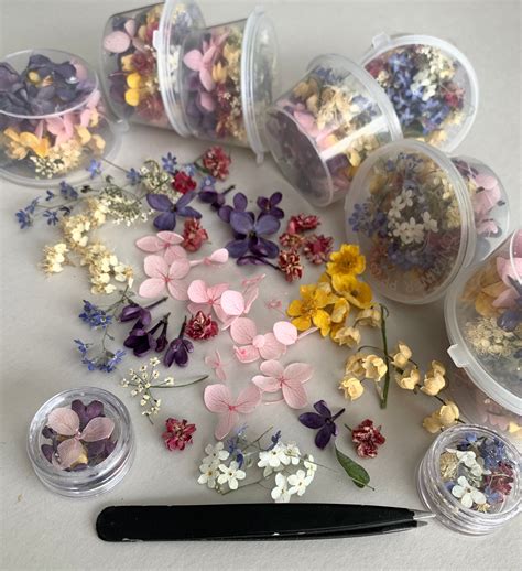 Dried Small Flowers For Resin Tinest Dried Flowers For Resin Etsy