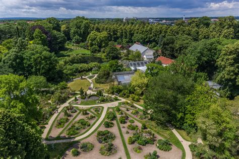 Wunderbar für einen englischen garten: Orangerie im Botanischen Garten - Münster Spezial Heiraten