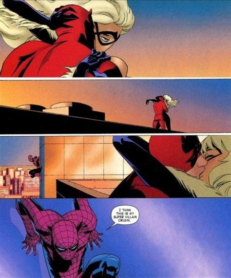 Spider Man Sees Daredevil And Black Cat Spiderman