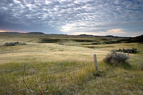 Great Plains Stock Photos Pictures And Royalty Free Images Istock