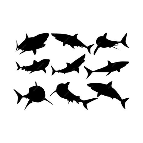 Premium Vector Shark Silhouette Vector Illustration