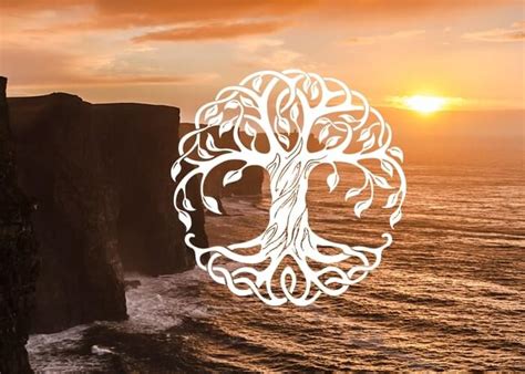 Celtic Tree of Life: Its Meaning + History (aka Crann Bethadh)