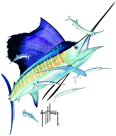 Guy Harvey Sailfish Window Sticker Bass Fishing Pictures Fish Art
