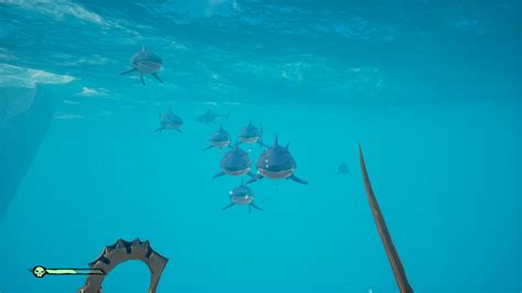 · sea of thieves megalodon rewards the megalodon represents a monumental challenge for pirates in sea of thieves, in much the same way that the … · forget all about the kraken, the biggest baddy in sea of thieves is the megalodon, an ancient beast recently added in first free content update, the. How To Spawn A Megalodon In Sea Of Thieves