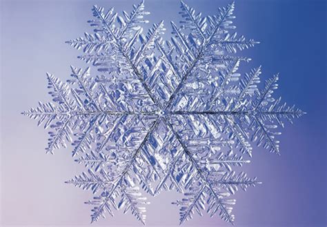 Natures Great Piece Of Art Slash Geometry Lesson The Snowflake
