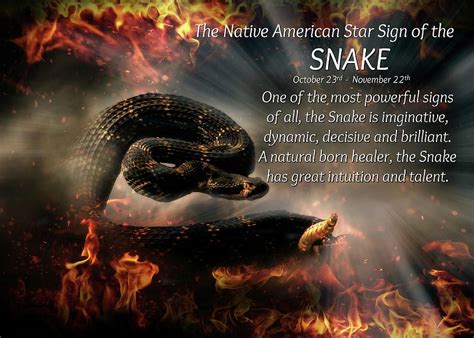 Snake Photograph Native American Zodiac Sign Of The Snake Scorpio