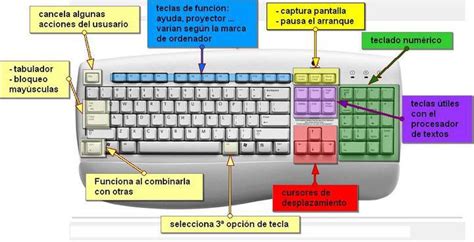 Teclado Del Ordenador Tipos Partes Y Atajos