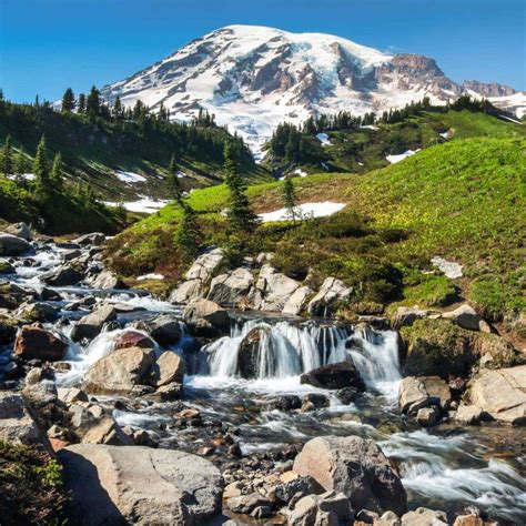Skyline Trail Mount Rainiers Best Day Hike Travel Experience Live