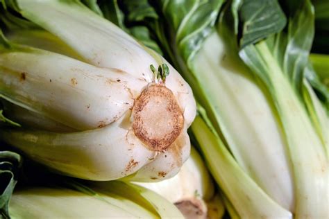 Les temps de cuisson des aliments au cookeo