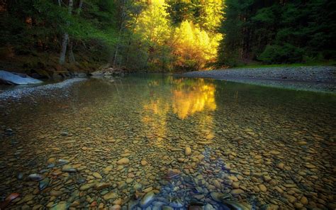 River Forest Nature Landscape Trees Water Calm Sunlight Summer Pebbles Stones