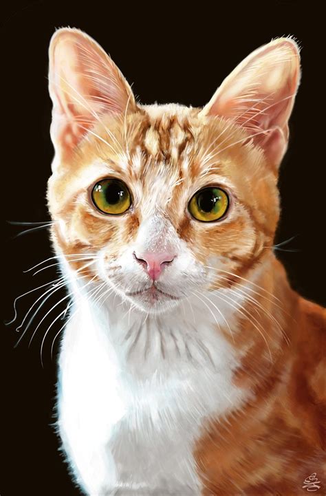 This tutorial shows how to draw an orange cat. Realistic Cat Portrait | Cat portraits, Cat portrait ...