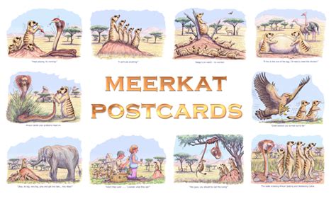 Meerkats Postcard Pack Of 10 Stag Gallery