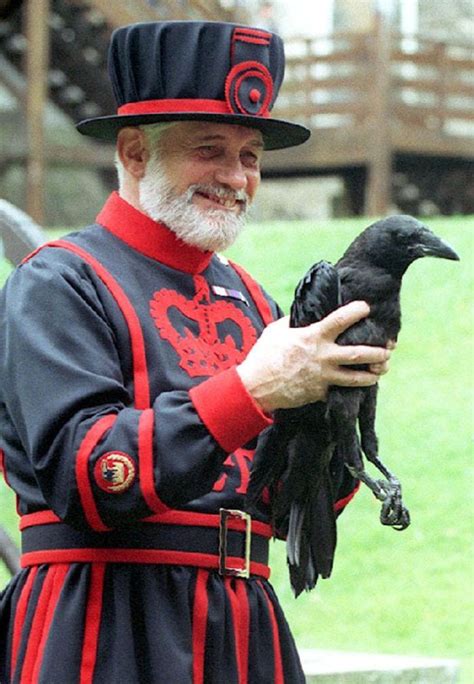 the ravens in the tower of london are so important to the people of england that a number of
