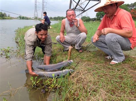 Thấy trên tin tức hoài mà tao đ' biết nó là ai và làm cái đ' gì. Hồ câu Hồng Vân - địa điểm câu lý tưởng cho mọi người ...