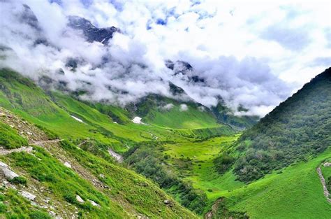 Trek To Valley Of Flowers Hemkund Sahib Tripoto