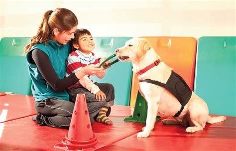 Animal Therapy For Children With Autism Spectrum Disorder