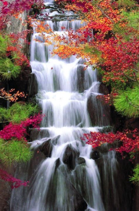 Autumn Waterfall Surrounded By Colorful Trees