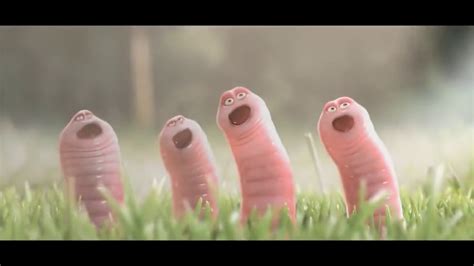 Cartoon About Worms Funny Short Film Youtube
