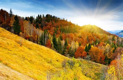 The Mountain Autumn Landscape With Colorful Forest Stock Photo