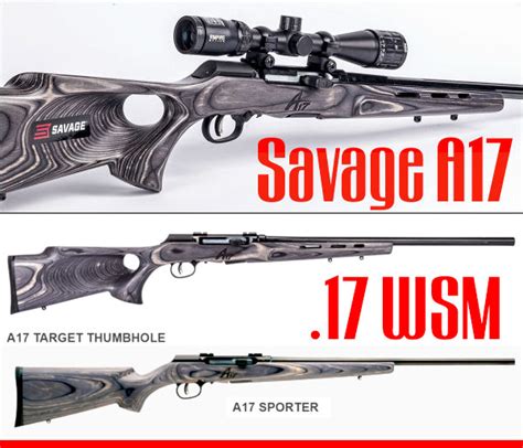 Sunday Gunday New 17 Wsm Savage A17 Rifles For Varminting Daily