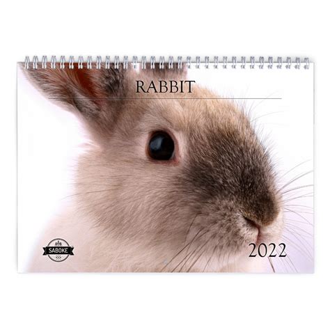 Rabbit 2022 Wall Calendar Id12274 Etsy