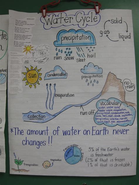 Staar Review Anchor Chart I Use This Chart To Review The Water Cycle