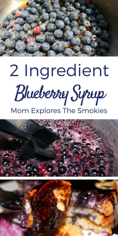 2 Ingredient Blueberry Syrup Mom Explores The Smokies Blueberry