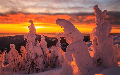 Download Wallpaper 3840x2400 Trees Snow Sunset Winter Landscape