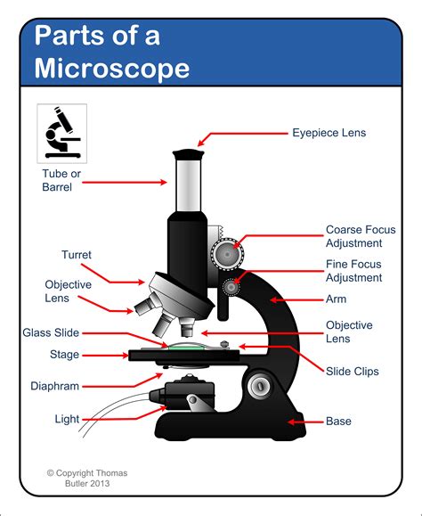 Microscope Diagram Tom Butler Technical Drawing And Illustration