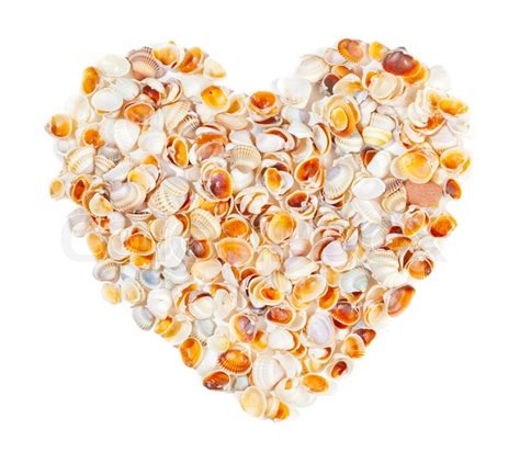 A Heart Made Of Sea Shells Isolated Stock Photo Colourbox