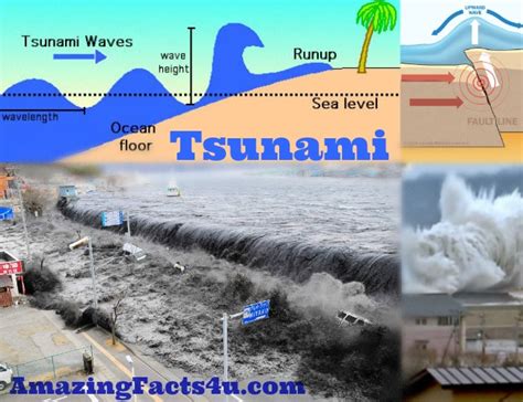 35 Amazing Facts About Tsunami Amazing Facts 4u